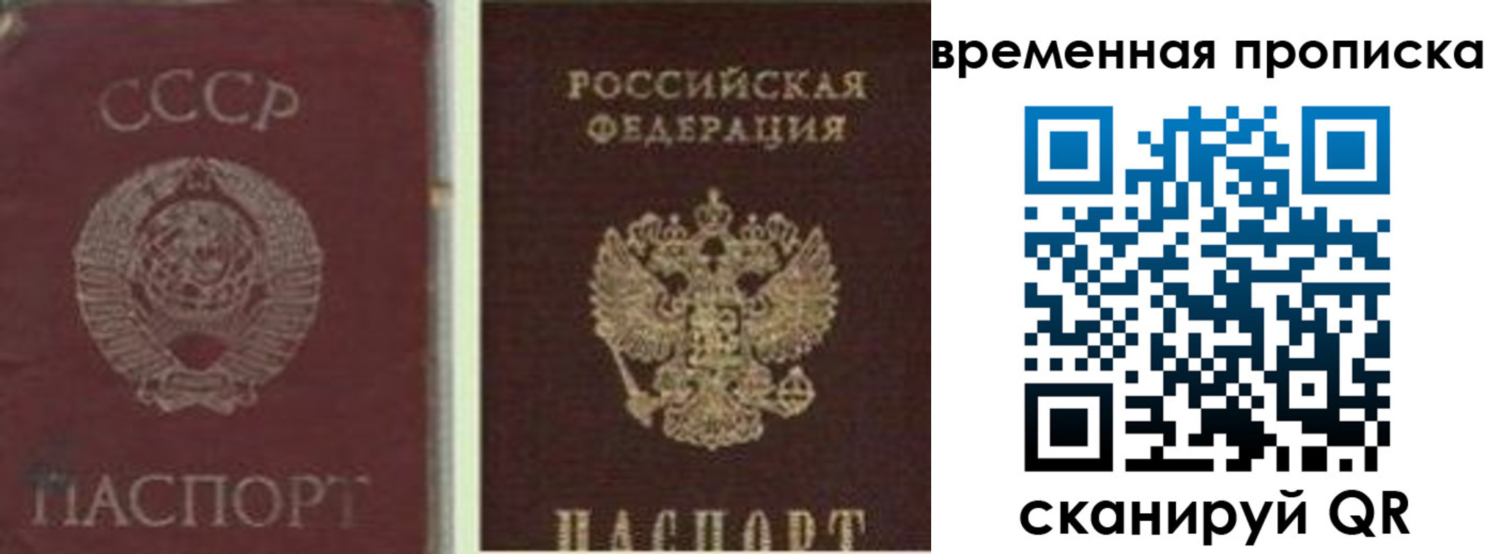 прописка 2025 в Заречном